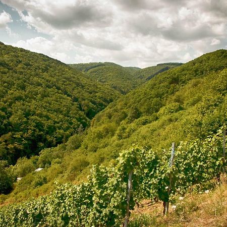 Ferienwohnungen Lithos Oberwesel Zewnętrze zdjęcie