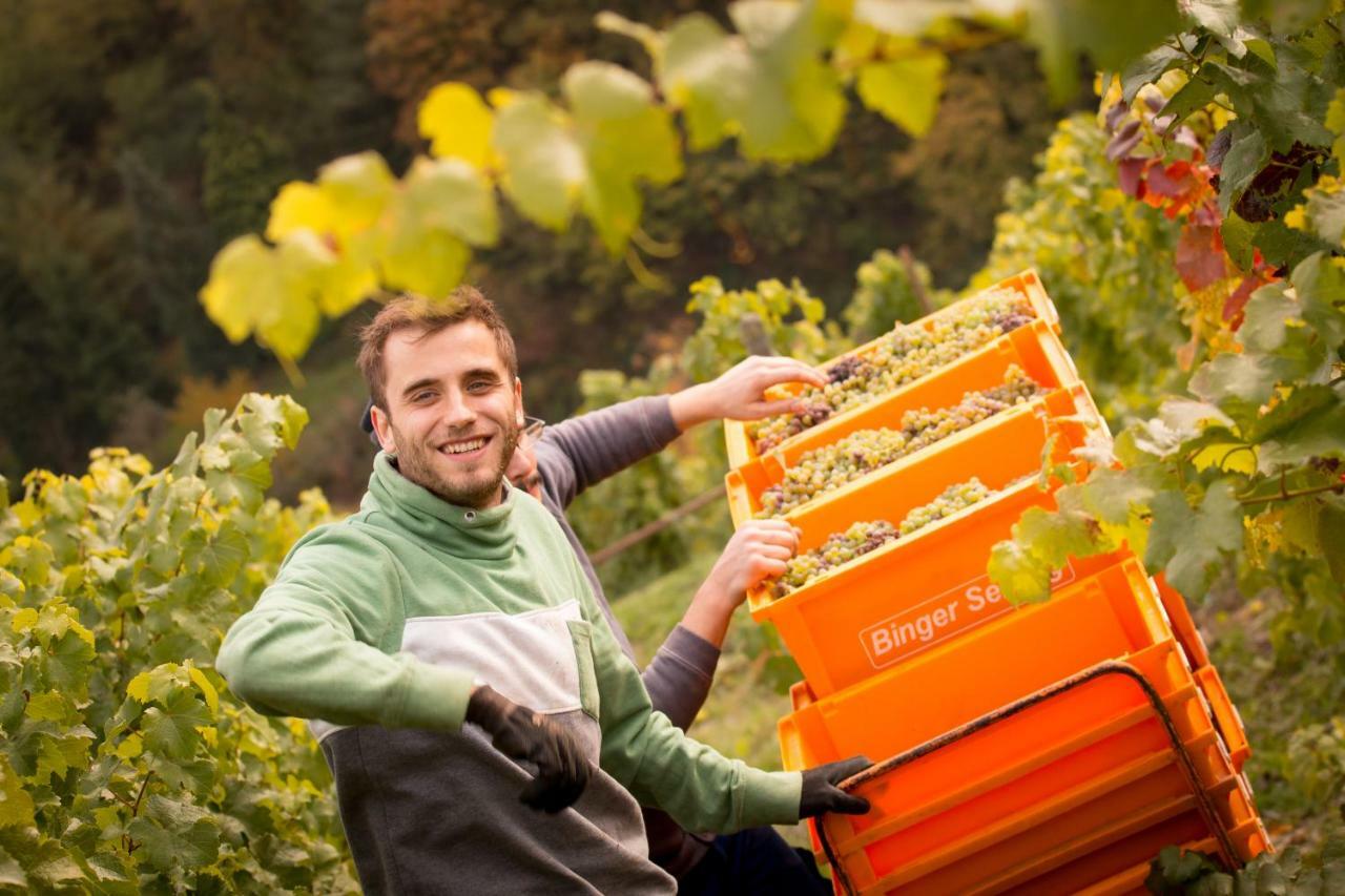 Ferienwohnungen Lithos Oberwesel Zewnętrze zdjęcie