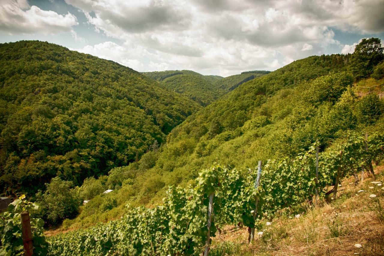 Ferienwohnungen Lithos Oberwesel Zewnętrze zdjęcie