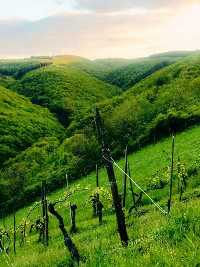 Ferienwohnungen Lithos Oberwesel Zewnętrze zdjęcie