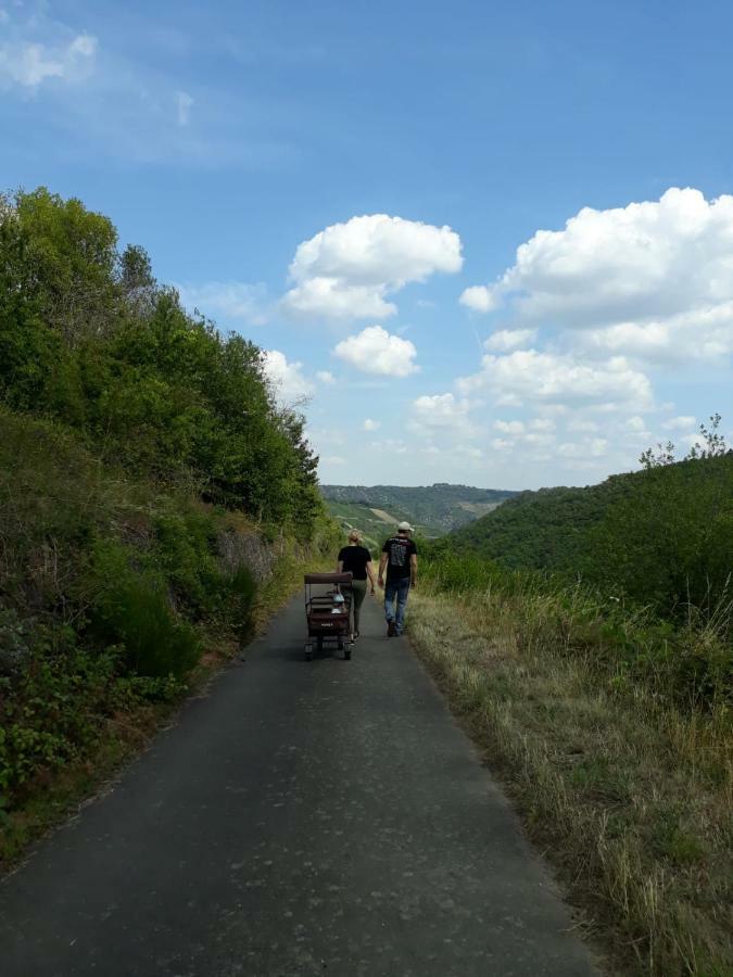 Ferienwohnungen Lithos Oberwesel Zewnętrze zdjęcie
